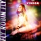 Fly Robin Fly (Rockstroh Remix) - Vendom lyrics