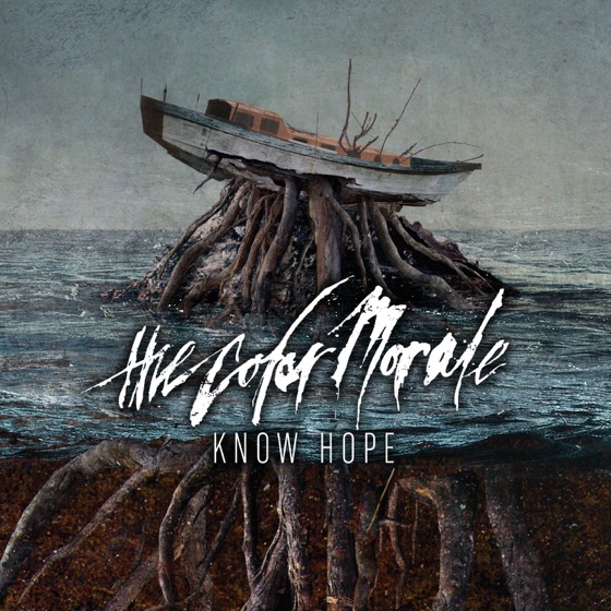 Cover artwork for Saviorself