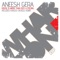 House Is More Than Just a Feeling - Aneesh Gera lyrics