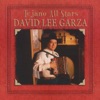 Tejano All Stars: David Lee Garza