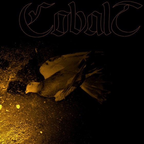 Cover artwork for Ulcerism