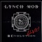 River of Love - Lynch Mob lyrics