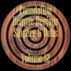 Foundation Deejays Singers & Dubs Vol 12