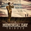 A Memorial Day Tribute, 2012