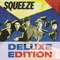 If I Didn't Love You - Squeeze lyrics