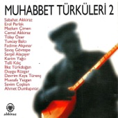 Muhabbet Türküleri 2 artwork
