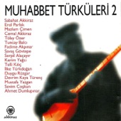 Yaram Sızlar Ağrır Başım artwork