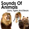 Sounds of Animals: Lions, Tigers and Bears album lyrics, reviews, download