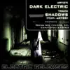 The Dark Electric