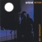 My Favorite Game - Steve Wynn lyrics