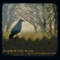 Bluebird (feat. Jill Andrews) - Don Gallardo lyrics