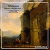 Telemann - Concerto for Recorder and Flute in E Minor, TWV 52:e1: III. Largo