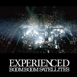 EXPERIENCED (Live Version 2010) - Boom Boom Satellites