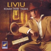 Roman Intre Tigani