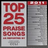 Top 25 Praise Songs 2011 artwork