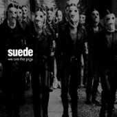 Suede - We Are the Pigs