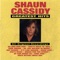 Da Doo Ron Ron - Shaun Cassidy lyrics