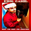 What You Want for Christmas - Single