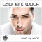 Wash My World (Bimbo Jones Remix) - Laurent Wolf lyrics