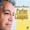 Frou Frou - Carlos Campos lyrics