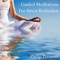 Chakra Breathing Meditation - Philip Permutt lyrics