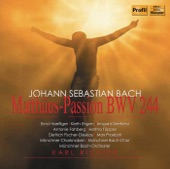 St. Matthew Passion, BWV 244: Part II: Aria: Erbarme dich (Alto) artwork