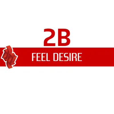 Feel Desire (Remixes) - EP - 2B