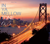In Ya Mellow Tone 6.5 - Various Artists