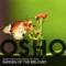 The Diamond In the Lotus - Music from the World of Osho lyrics