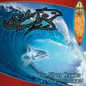 The Silver Hawks - Surf Boardwalk