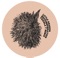 Recommendation - Single