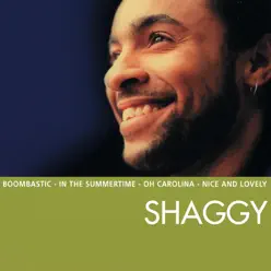 The Essential Shaggy - Shaggy
