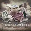 Bridges & Palm Trees (feat. Baby Bash & Lil Coner) - Single album lyrics, reviews, download
