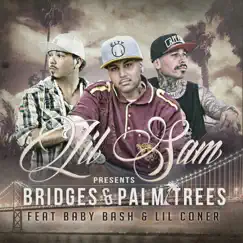 Bridges & Palm Trees (feat. Baby Bash & Lil Coner) - Single by Lil Sam album reviews, ratings, credits