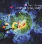 Richard Hawley - Down in the Woods