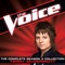 Broken Wings - Terry McDermott lyrics