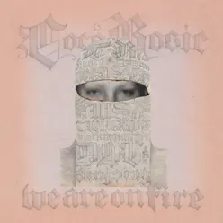We Are On Fire - Single - CocoRosie