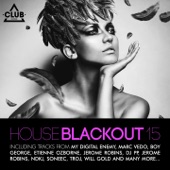 House Blackout, Vol. 15 artwork