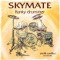 Funky Drummer - Skymate lyrics