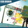 EGG BRAIN