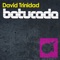 Batucada - David Trinidad lyrics