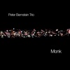 Pannonica  - Peter Bernstein Trio 