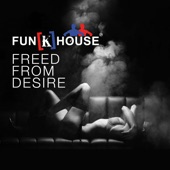 Freed from Desire (Radio Edit) artwork