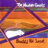 Song For Mark And Joel - The Mountain Goats