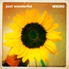 Just Wonderful - Single