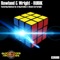 Rubik (Craig Bradley Remix) - Rowland & Wright lyrics