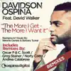 The More I Get - the More I Want - Remixes (feat. David Walker) album lyrics, reviews, download