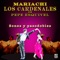Zopilote Mojado - Mariachi Los Cardenales De Pepe Esquivel lyrics