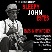 Rats in My Kitchen :The Legendary Sleepy John Estes artwork
