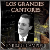 Los Grandes Cantores (feat. Orquesta de Ricardo Tanturi & Orquesta de Francisco Rotundo) artwork